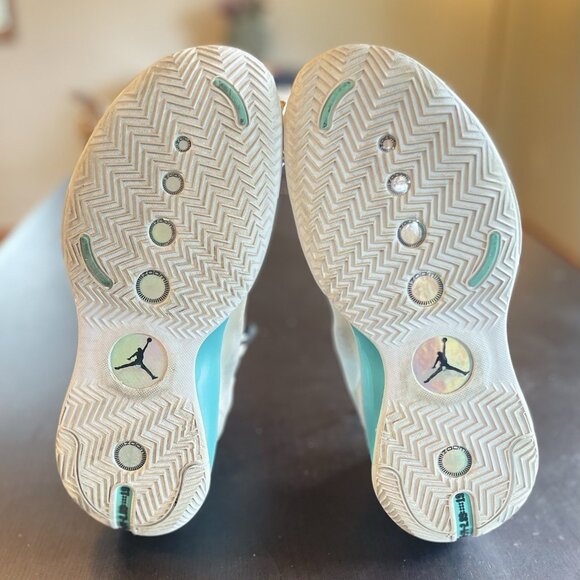 Nike Air Jordan 34 Snow Leopard PE 2019 Guo Ailun US SIZE 13 Basketball Shoes